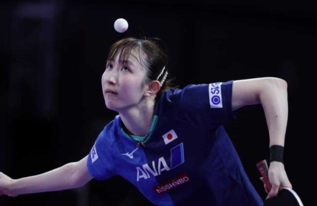 高水平教练 高水平教练